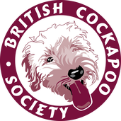 www.britishcockapoosociety.com